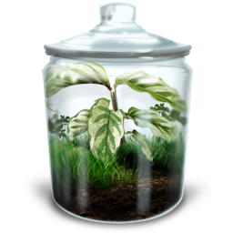 GrassyTerrarium